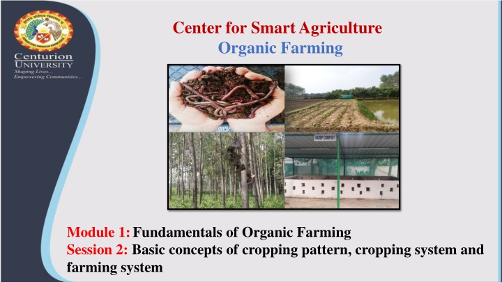 Fundamentals of Organic Farming: Cropping Patterns and Systems