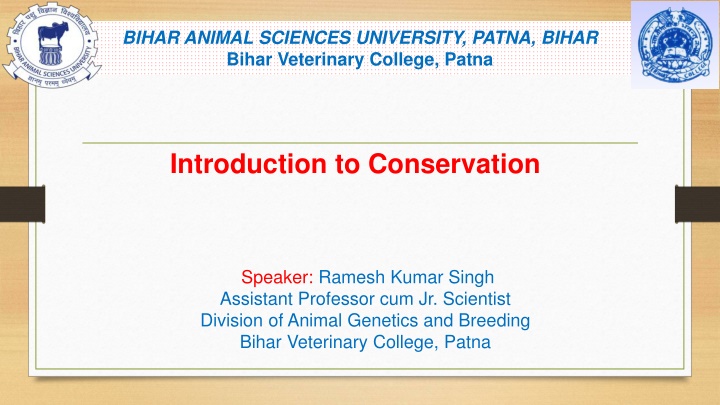 bihar animal sciences university patna bihar n.w