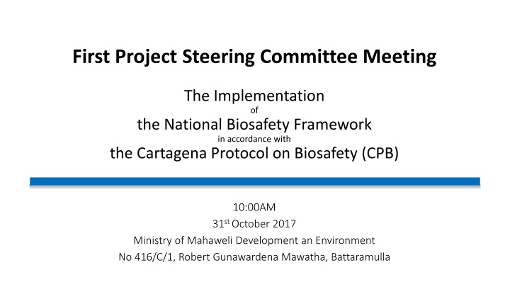first project steering committee meeting n.w