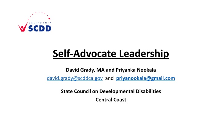 self advocate leadership n.w