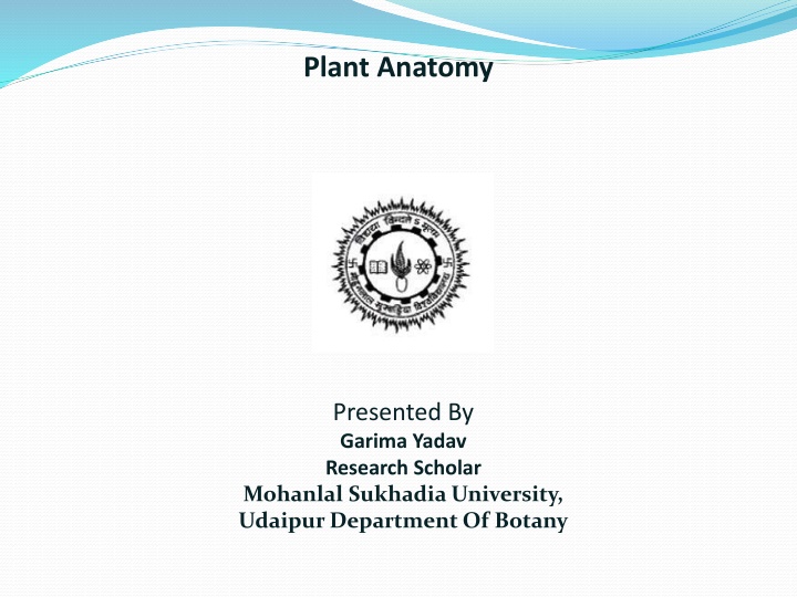 plant anatomy n.w