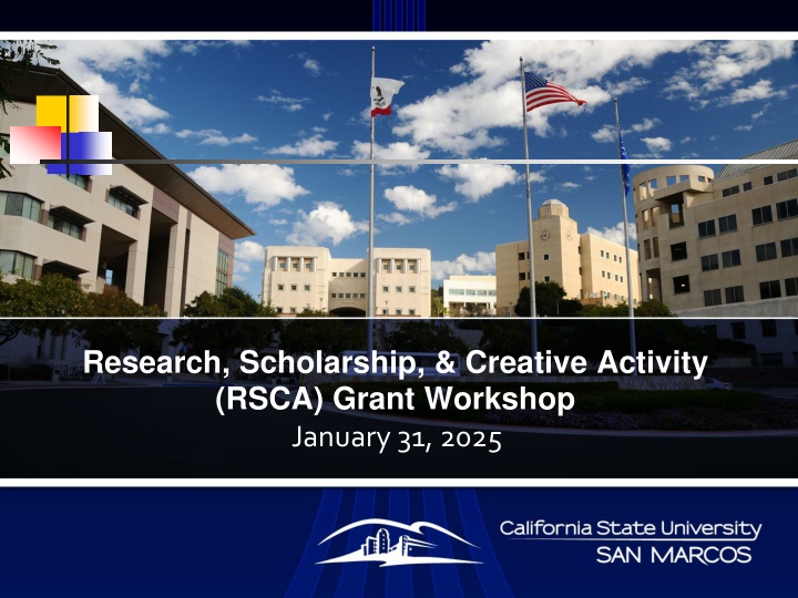 research scholarship creative activity rsca grant n.w