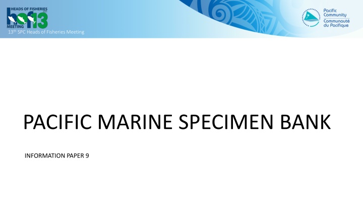 13 th spc heads of fisheries meeting n.w