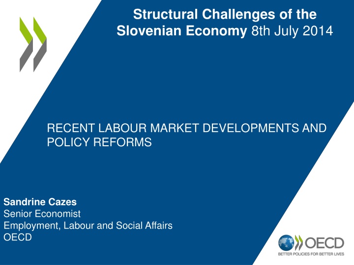 structural challenges of the slovenian economy n.w