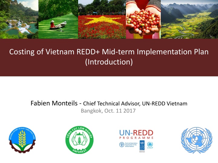 costing of vietnam redd mid term implementation n.w
