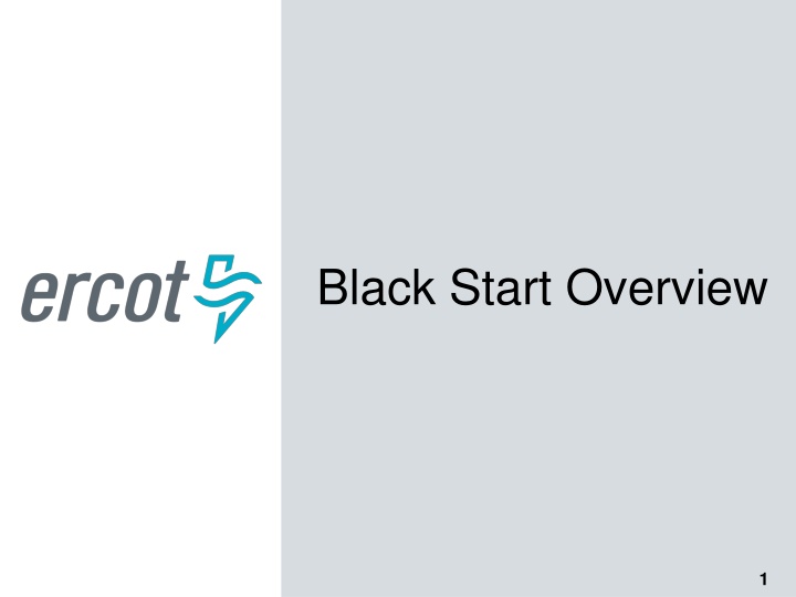 black start overview n.w