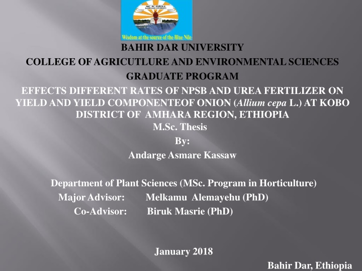 bahir dar university n.w