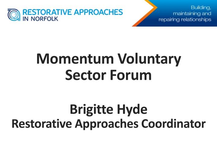 momentum voluntary sector forum n.w