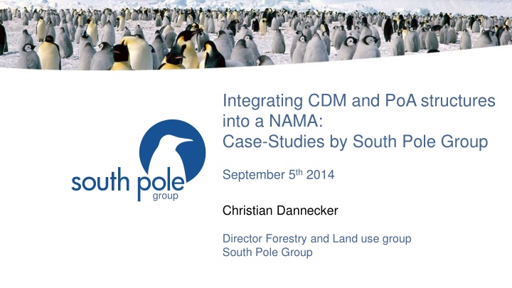 integrating cdm and poa structures into a nama n.w