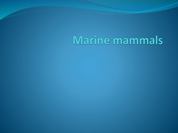 slide1 n.w