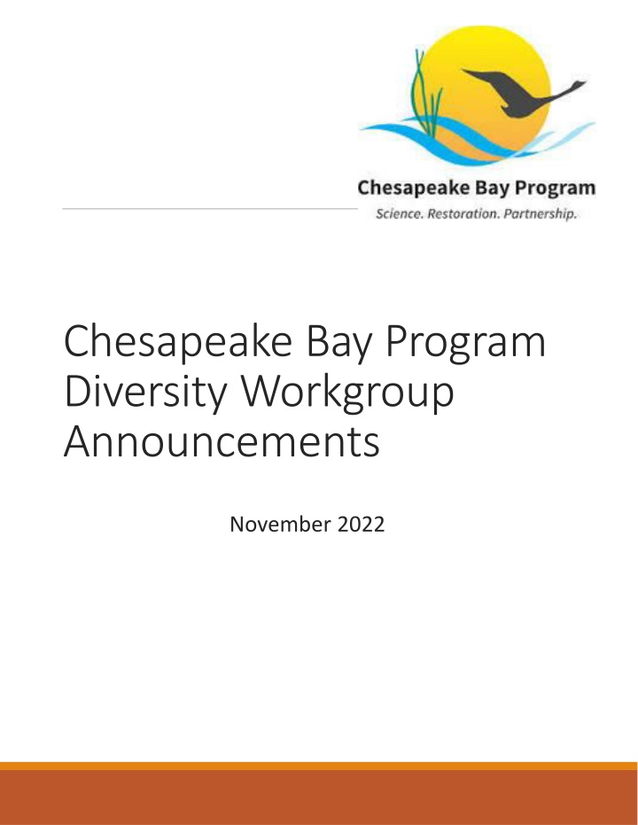 chesapeake bay program diversity workgroup n.w