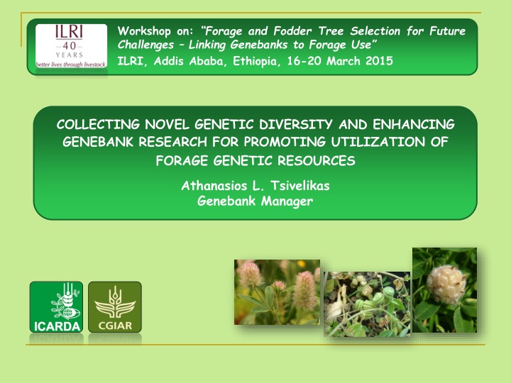workshop on forage and fodder tree selection n.w