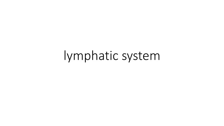 lymphatic system n.w
