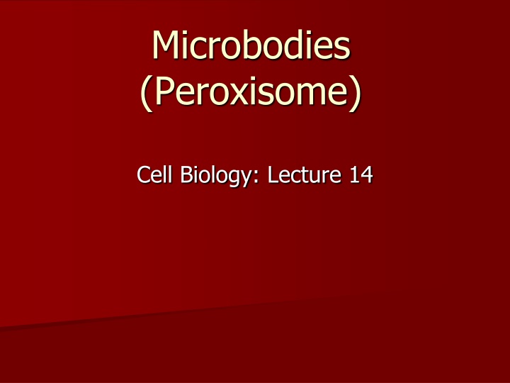 microbodies peroxisome n.w