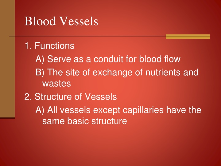 blood vessels n.w