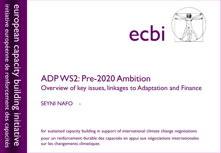 initiative europ enne de renforcement des capacit n.w