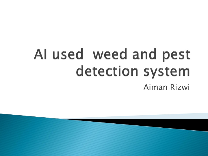 aiman rizwi n.w