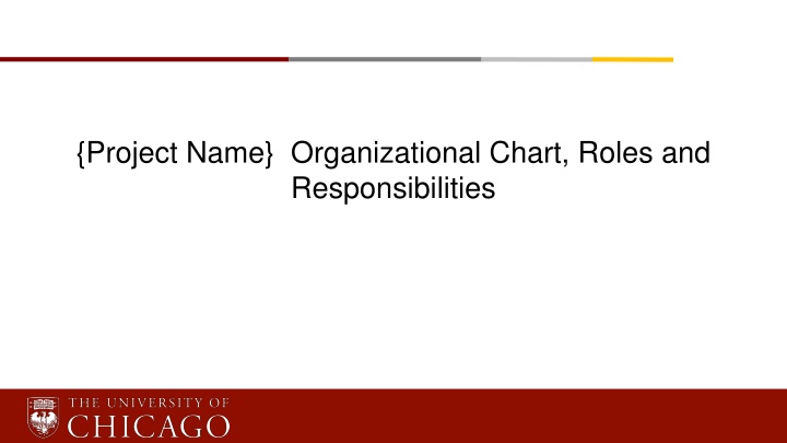 project name organizational chart roles n.w