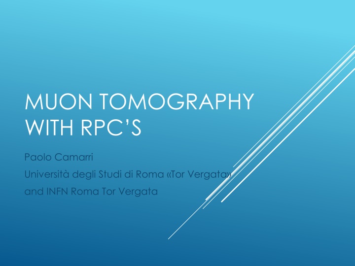 muon tomography with rpc s n.w