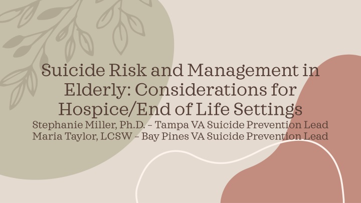 suicide risk and management in elderly n.w