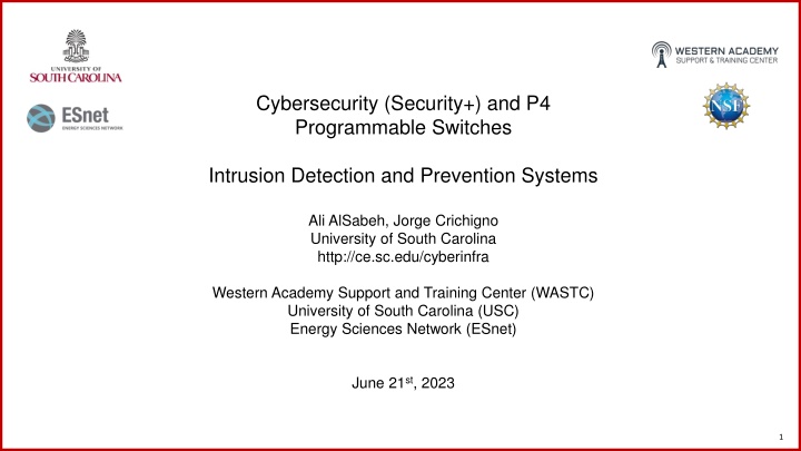 cybersecurity security and p4 programmable n.w