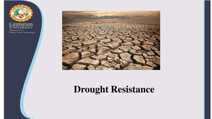 drought resistance n.w