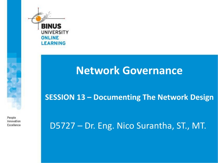 network governance n.w