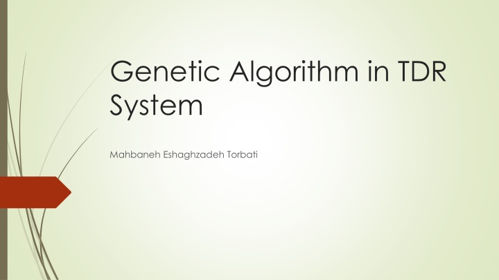genetic algorithm in tdr system n.w