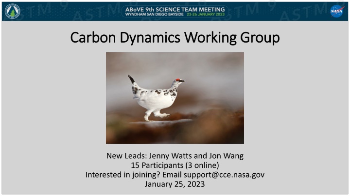 carbon dynamics working group carbon dynamics n.w