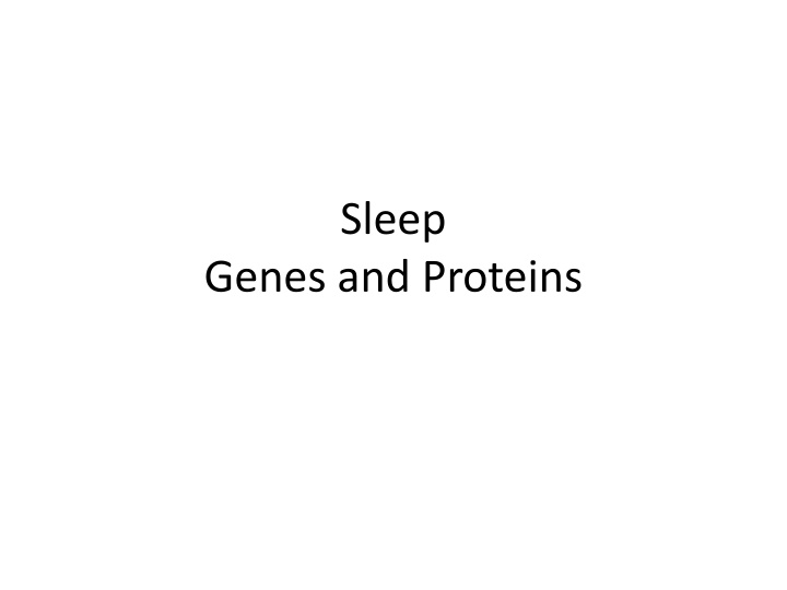 sleep n.w