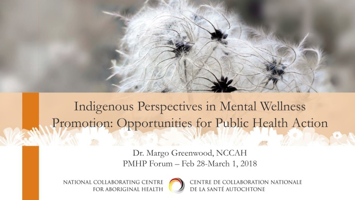 indigenous perspectives in mental wellness n.w