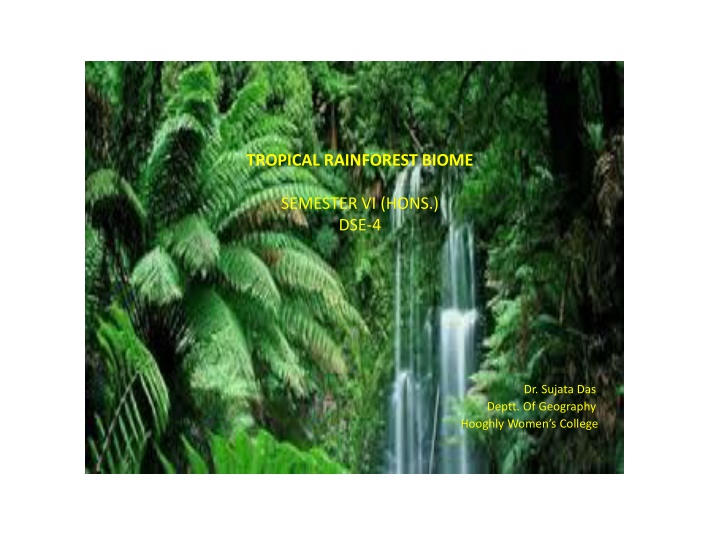 tropical rainforest biome n.w