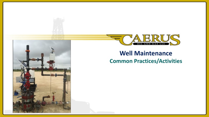 well maintenance common practices activities n.w