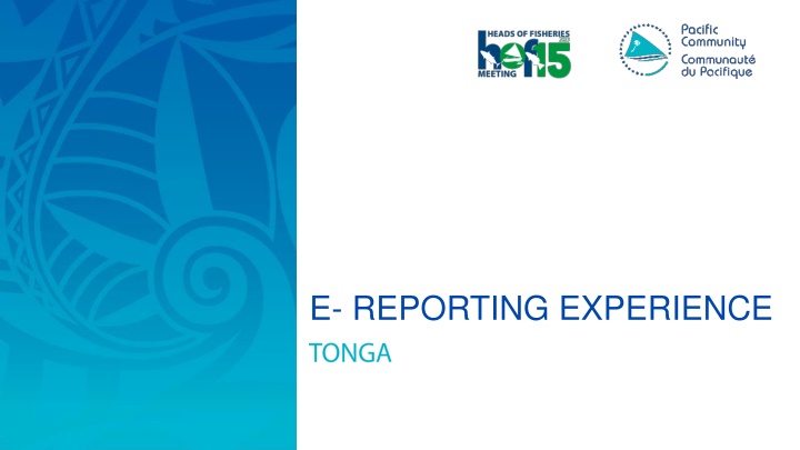 e reporting experience n.w