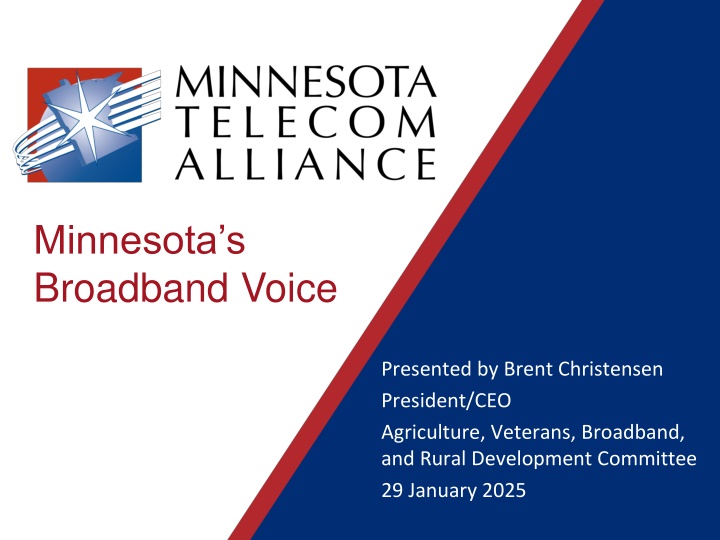 minnesota s broadband voice n.w