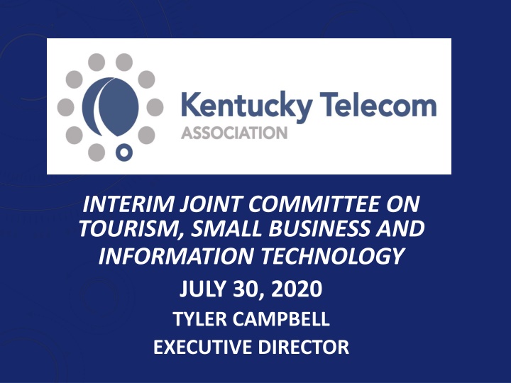 interim joint committee on tourism small business n.w