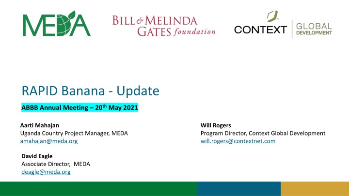 rapid banana update n.w