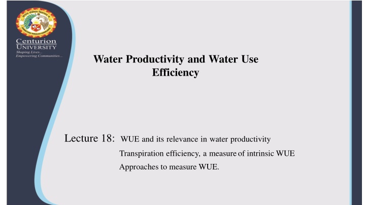 water productivity and water use efficiency n.w