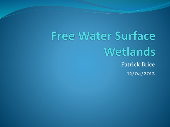patrick brice 12 04 2012 n.w