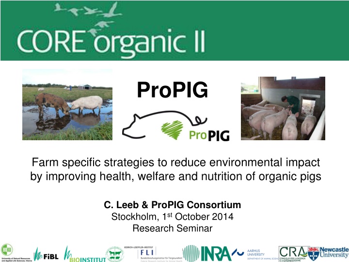propig n.w