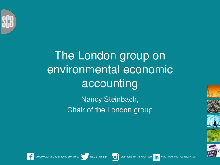 the london group on environmental economic n.w