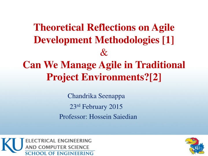 theoretical reflections on agile development n.w
