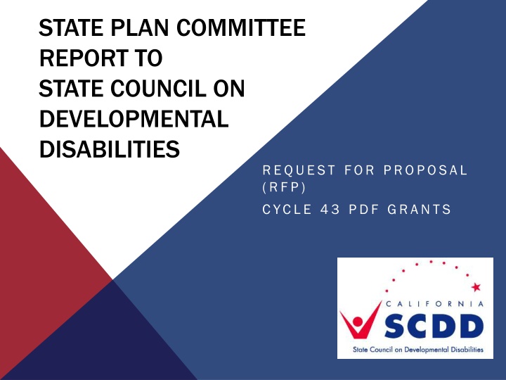 state plan committee report to state council n.w
