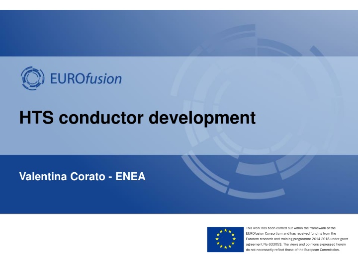 hts conductor development n.w
