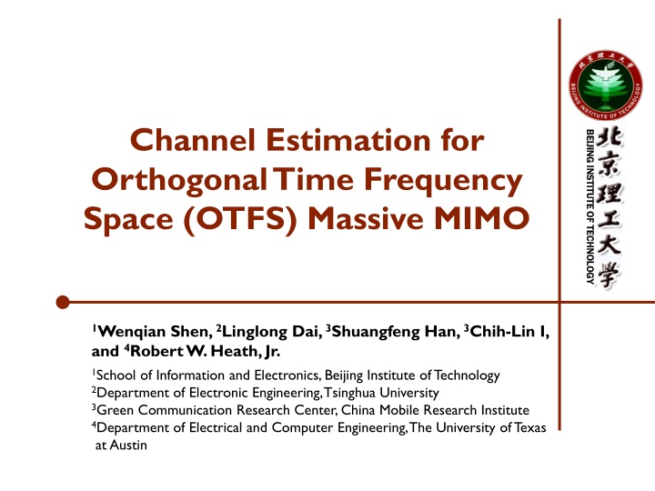 channel estimation for orthogonal time frequency n.w