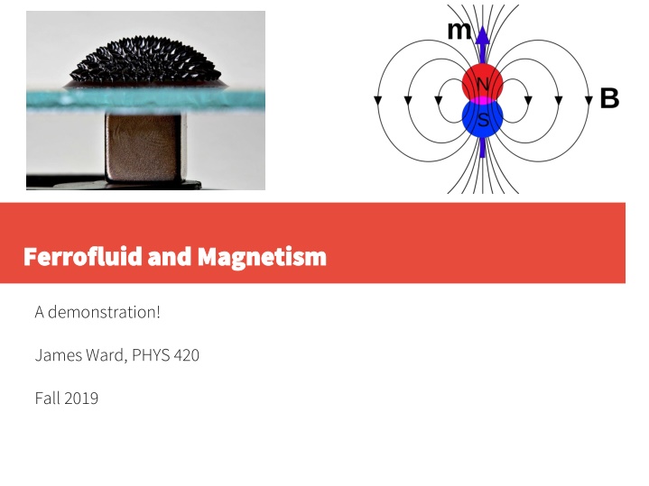 ferrofluid and magnetism ferrofluid and magnetism n.w