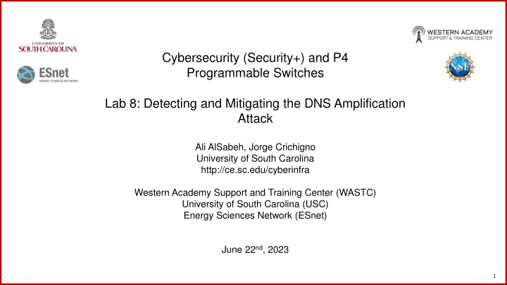 cybersecurity security and p4 programmable n.w