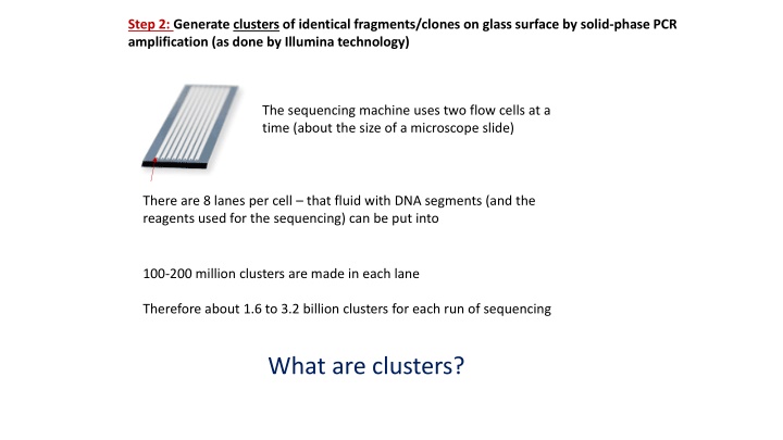 step 2 generate clusters of identical fragments n.w