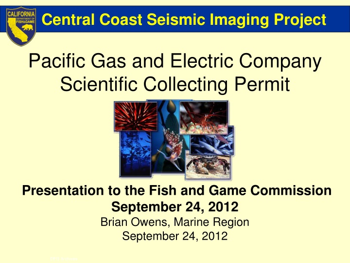 central coast seismic imaging project n.w