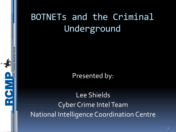 botnets and the criminal underground n.w